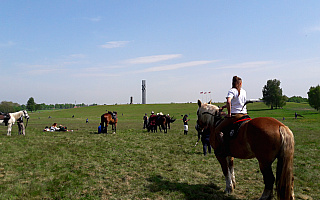 Grunwald zaprasza na majówkę z łukiem i koniem. „Z roku na rok zyskuje to coraz większą popularność” Grunwald zaprasza na majówkę z łukiem i koniem. „Z roku na rok zyskuje to coraz większą popularność”